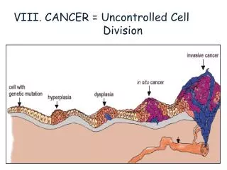 VIII. CANCER = Uncontrolled Cell Division