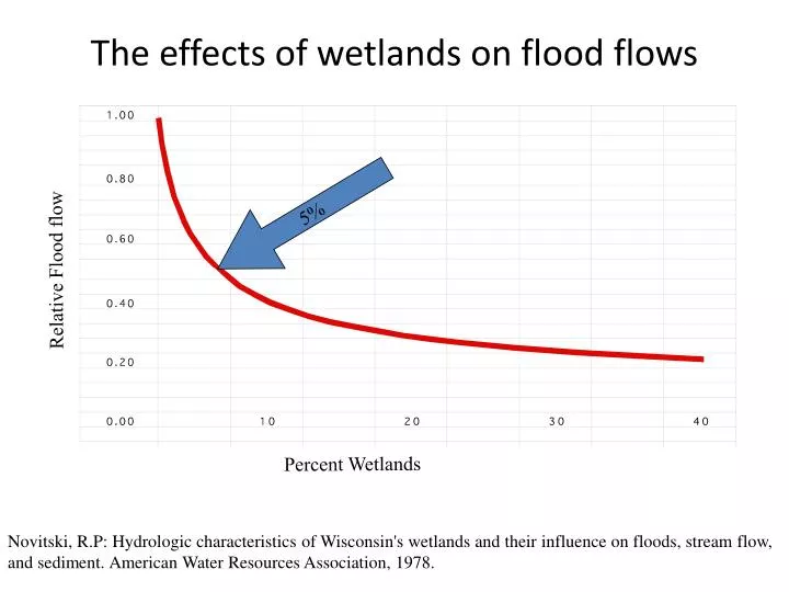 the effects of wetlands on flood flows