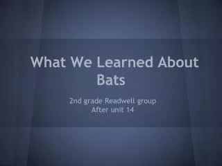 What We Learned About Bats