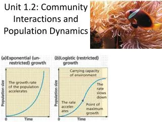 Unit 1.2: Community Interactions and Population Dynamics