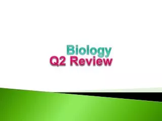 Q2 Review