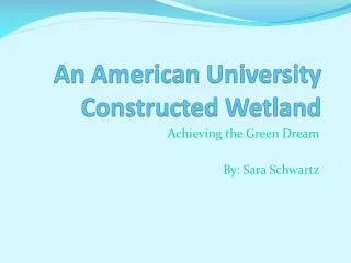 An American University Constructed Wetland