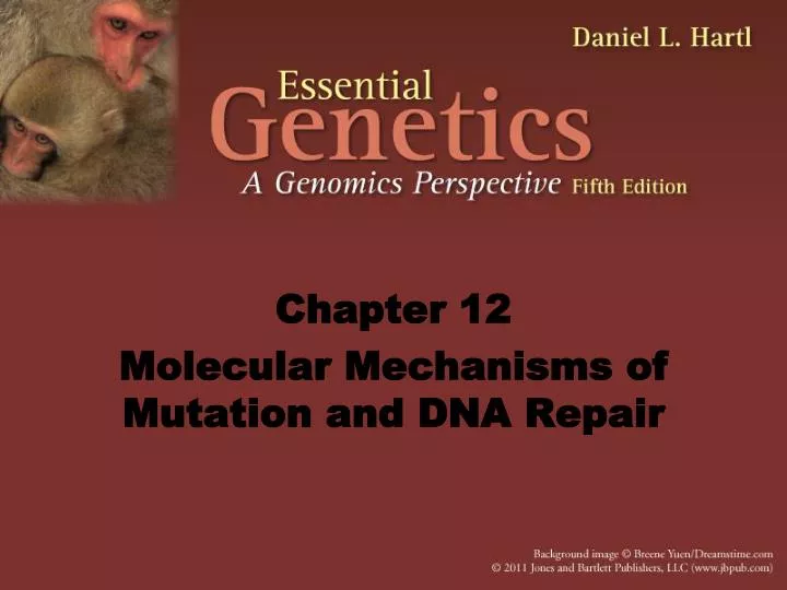 chapter 12 molecular mechanisms of mutation and dna repair