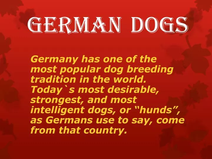 german dogs