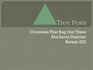 Tree Pests