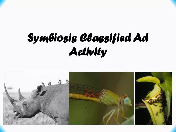 symbiosis classified ad activity