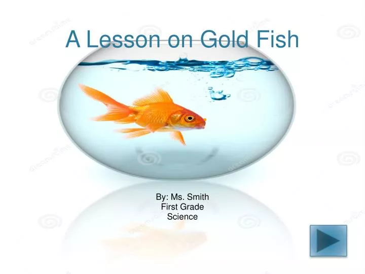 a lesson on gold fish