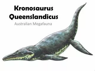 Kronosaurus Queenslandicus