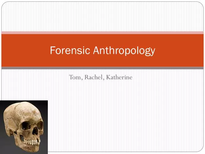 forensic anthropology