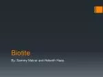 Biotite - slide 1