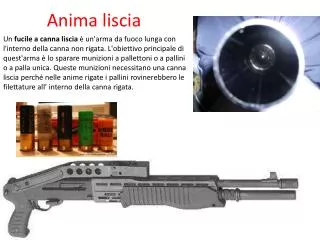 anima liscia