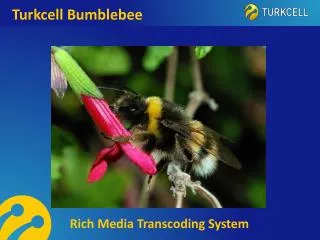 Turkcell Bumblebee