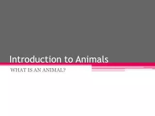 Introduction to Animals