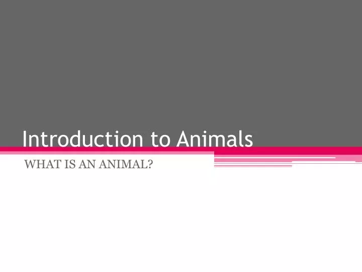 introduction to animals