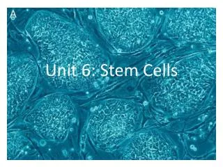 Unit 6: Stem Cells