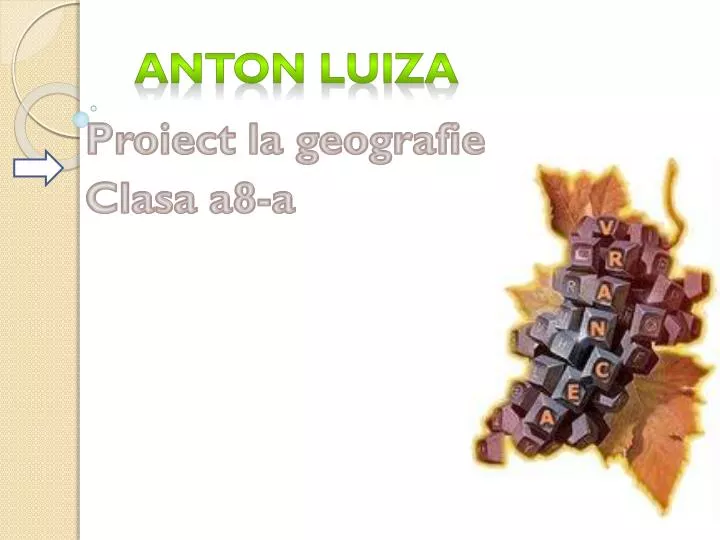 anton luiza