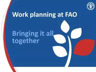 Work planning at FAO