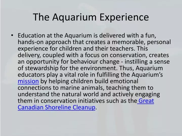 the aquarium experience