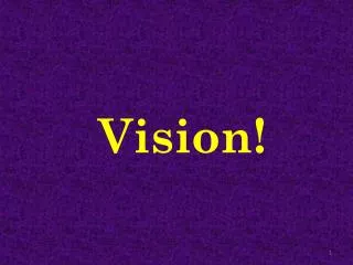 Vision!