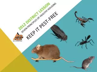 2012 District Lesson Seven Principles of Healthy Housing KEEP IT pest-free
