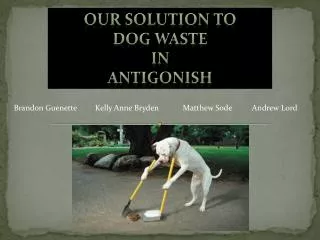 Our solution to dog waste in antigonish