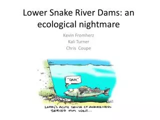 Lower Snake River Dams: an ecological nightmare
