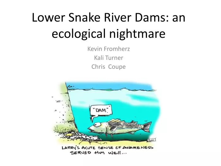lower snake river dams an ecological nightmare