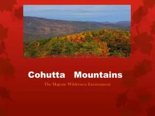 Cohutta Mountains