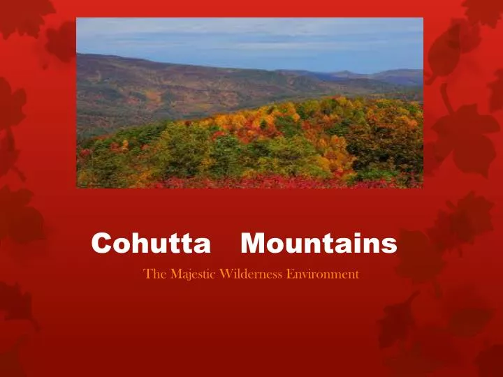 cohutta mountains