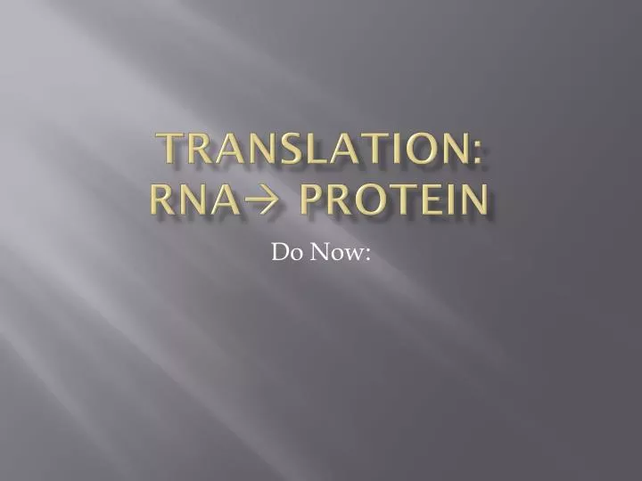 translation rna protein