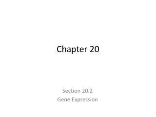 chapter 20