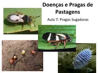 doen as e pragas de pastagens