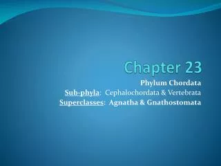 chapter 23