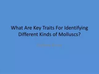 What Are K ey T raits F or I dentifying D ifferent K inds of Molluscs ?