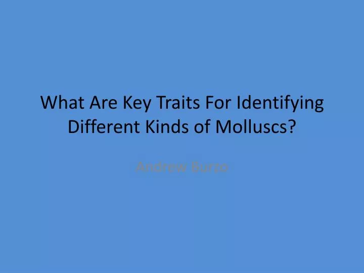what are k ey t raits f or i dentifying d ifferent k inds of molluscs