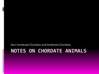 Notes on Chordate Animals