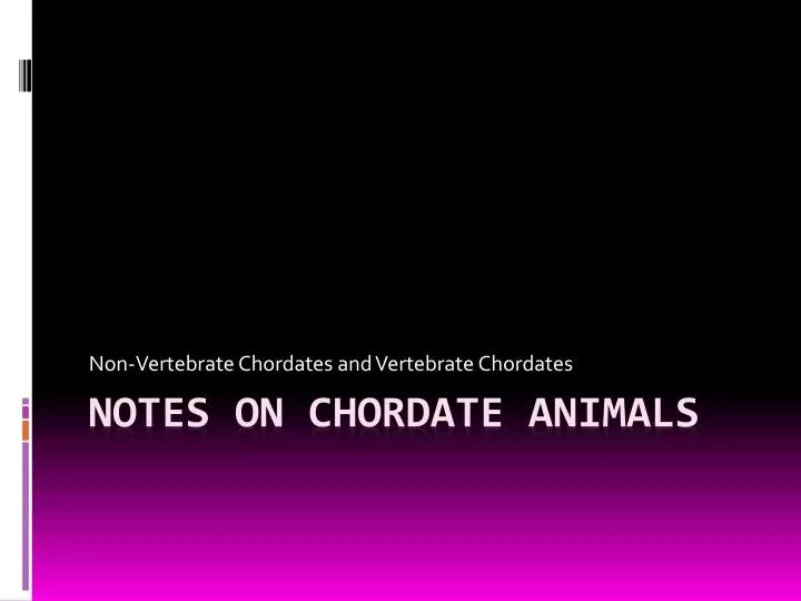 non vertebrate chordates and vertebrate chordates