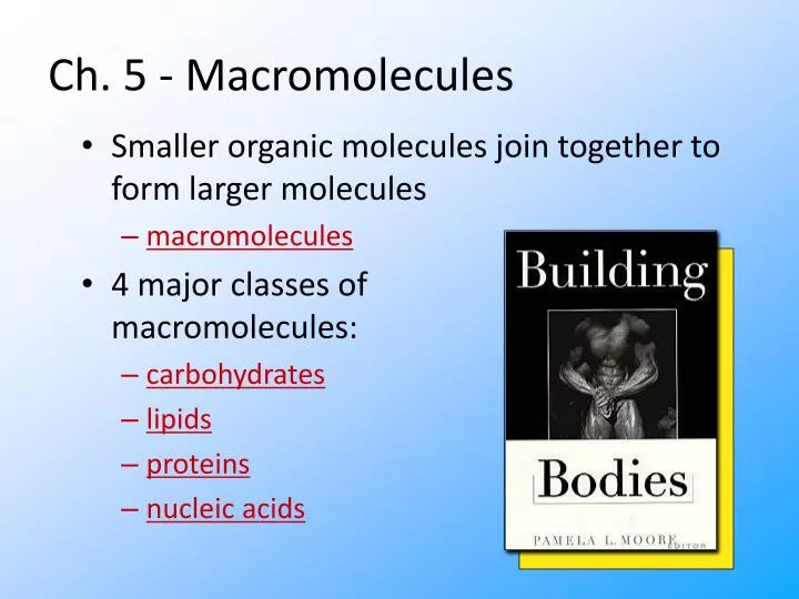 ch 5 macromolecules