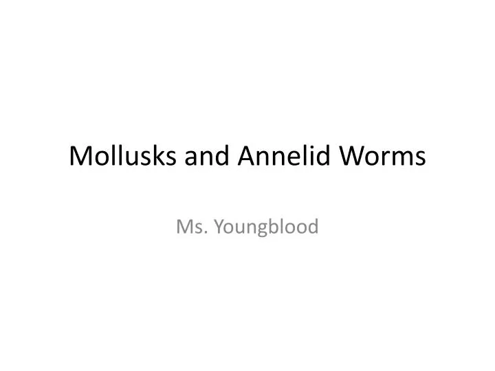 mollusks and annelid worms