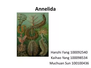 Annelida