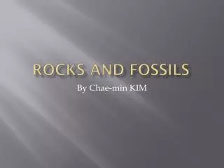 Rocks and Fossils