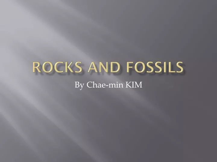 rocks and fossils