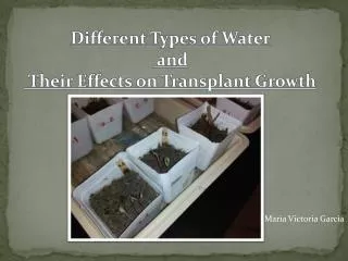 Different Types of Water and Their Effects on Transplant Growth