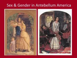 Sex &amp; Gender in Antebellum America