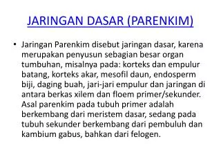jaringan dasar parenkim