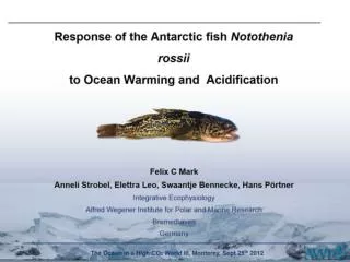 Response of the Antarctic fish Notothenia rossii to Ocean Warming and Acidification