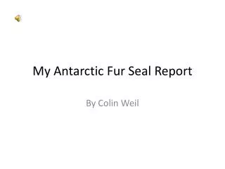 My Antarctic Fur Seal Report