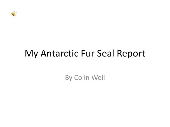 my antarctic fur seal report