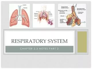 Respiratory System