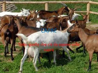 capre